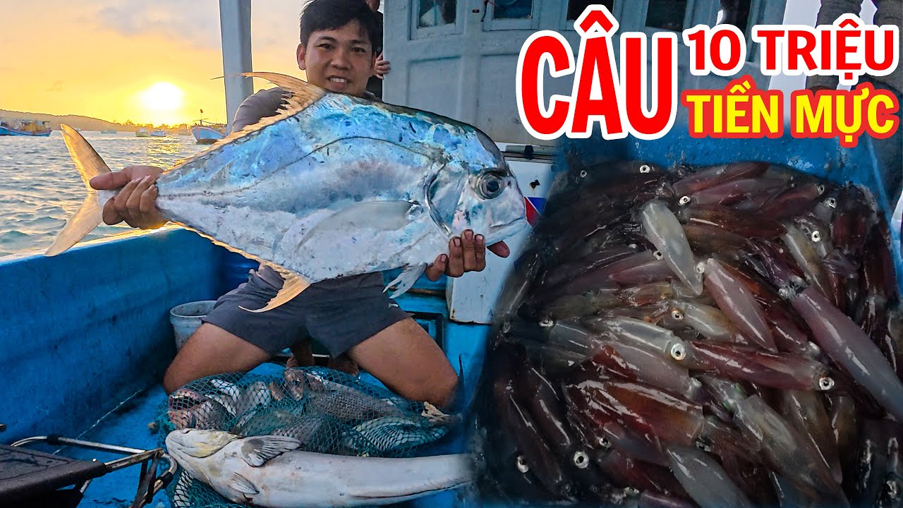 8 ngày Kiếm Tiền Ở Phú Quốc - Đi Câu Biển 1 Mình, Mực Dính Không Kịp Gỡ