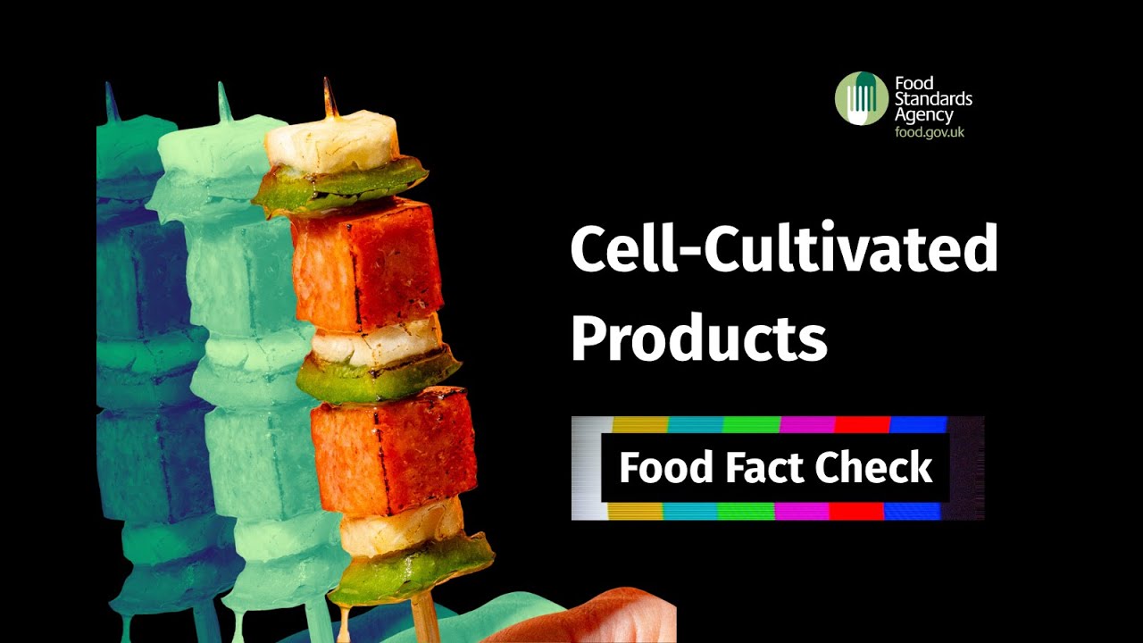 What are cell-cultivated products and are they safe?