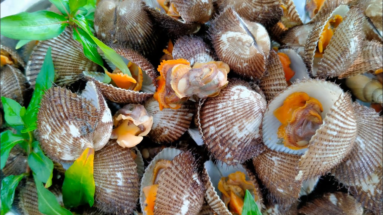 sò lông luộc sả món ăn đơn giản dễ làm ăn là ghiền
