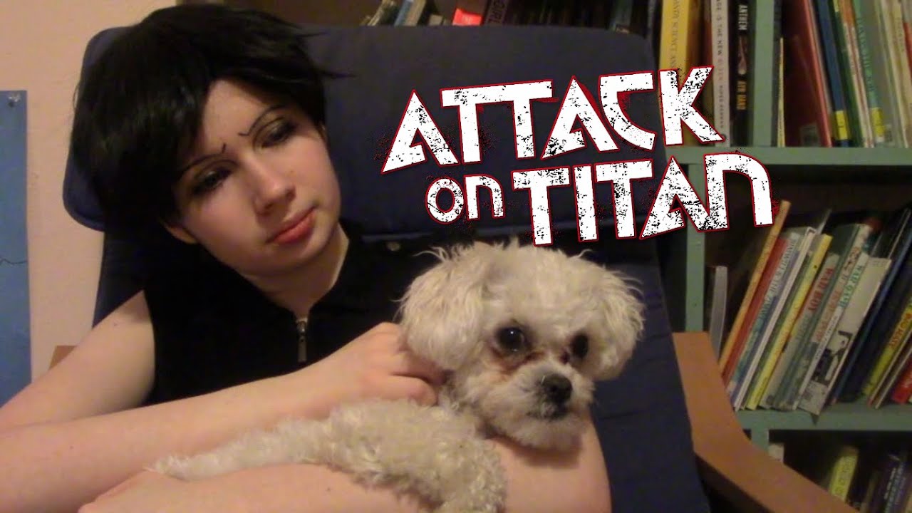 Levi gets a dog
