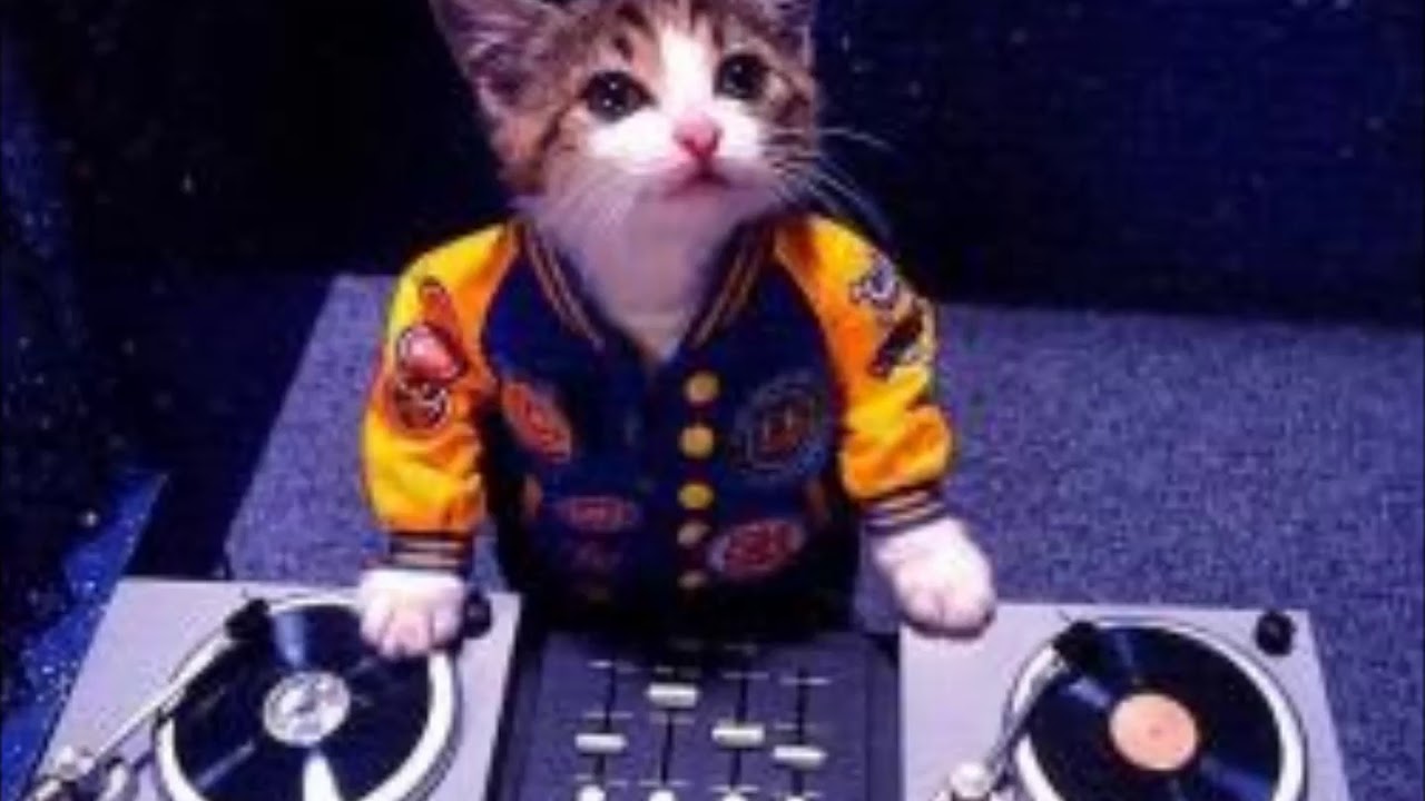 유로댄스 Eurodance 영등포 카네기 히트곡 (8집) (#dj성환 Mega Mix)