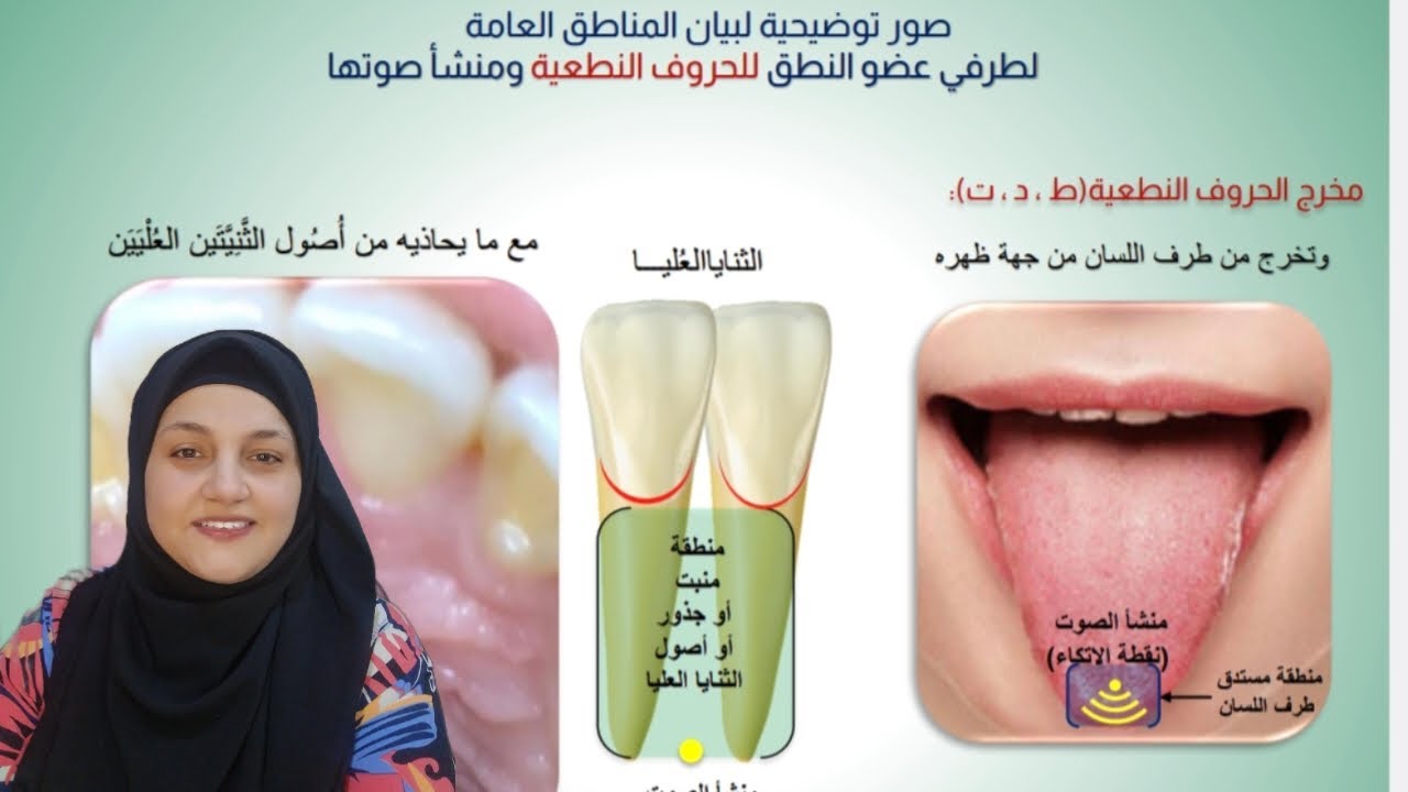 شرح مخرج وصفات الحروف النطعية(د ت ط) مع الأمثال القرآنية