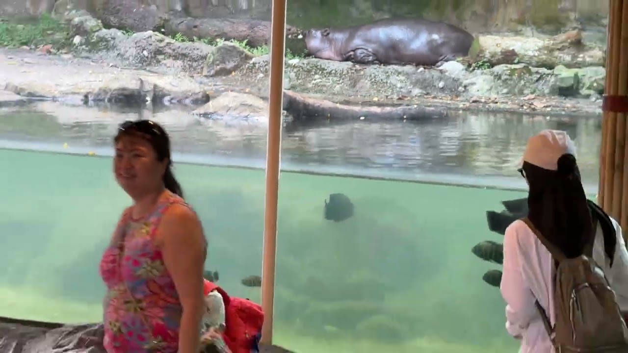Family Trip to the Zoo August 2025
