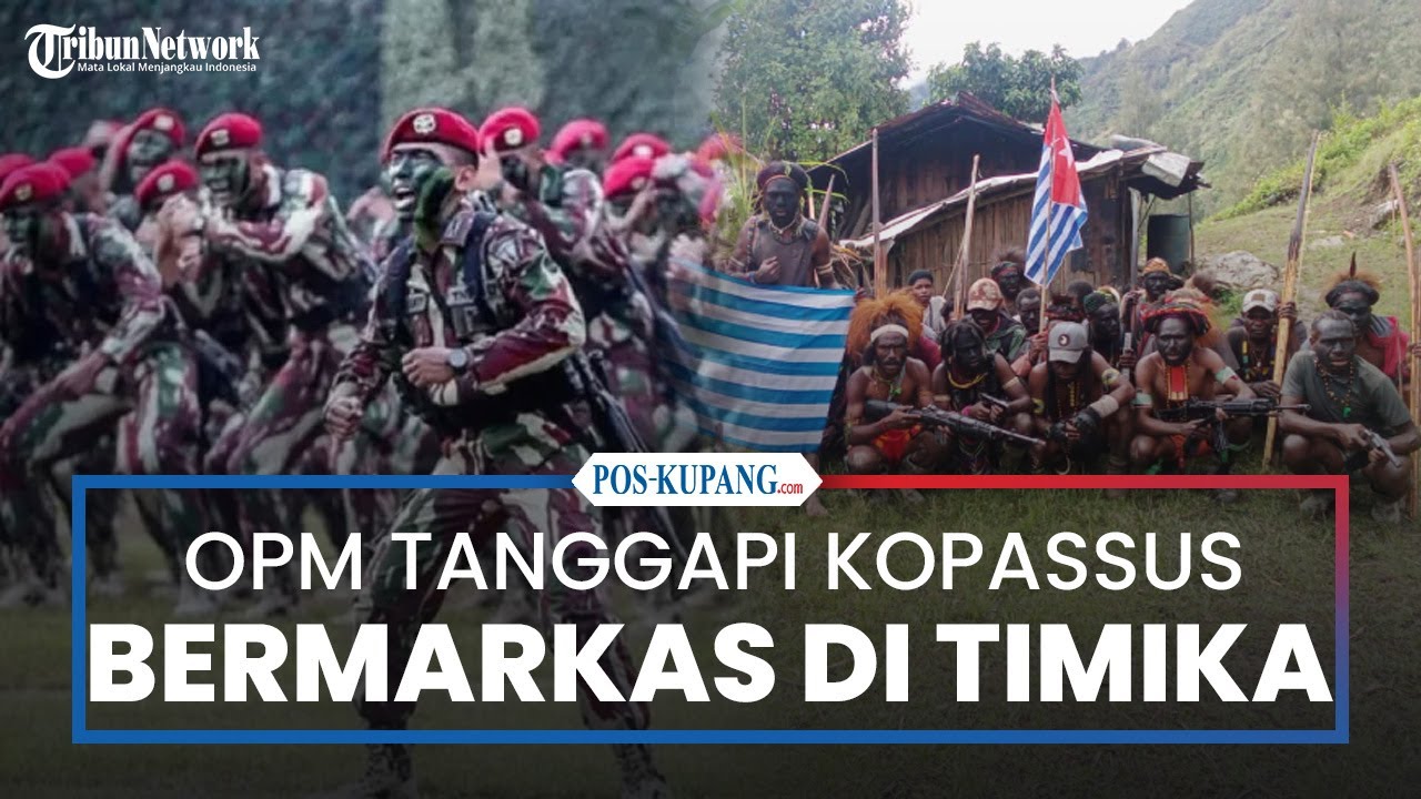 OPM Tanggapi Kabar Grup 6 Kopassus Bermarkas di Timika