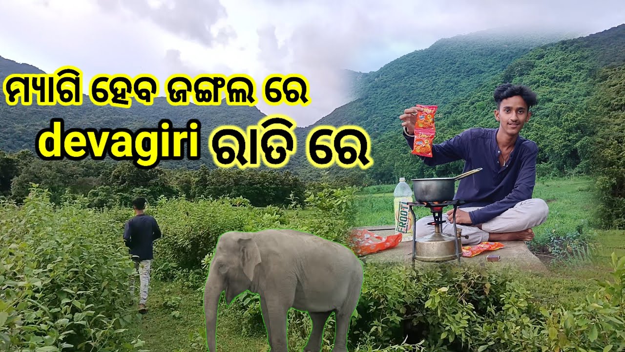 ଜଙ୍ଗଲ ରେ ହେବ ମ୍ୟାଗି Odisha Hill  rain camping in odisha. ⛰️ ବହୁତ 🐘🐘 ହାତୀ 🐘🐘asile travel with badal