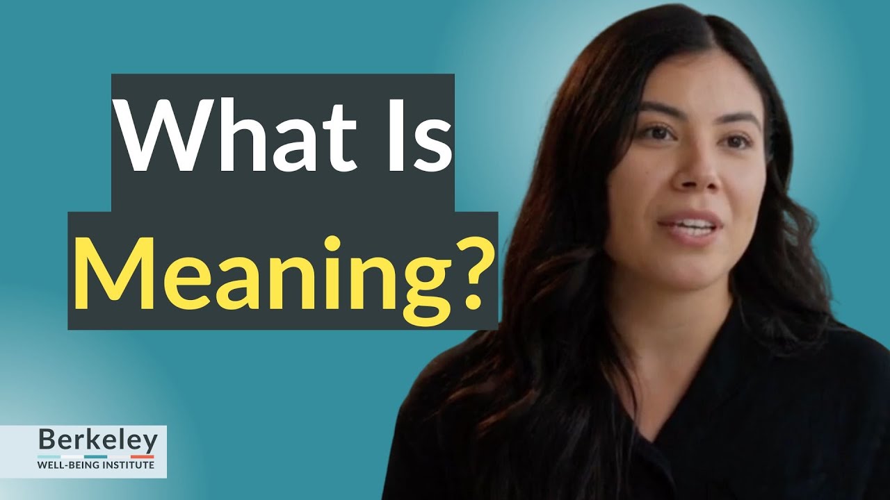 What Is Meaning?