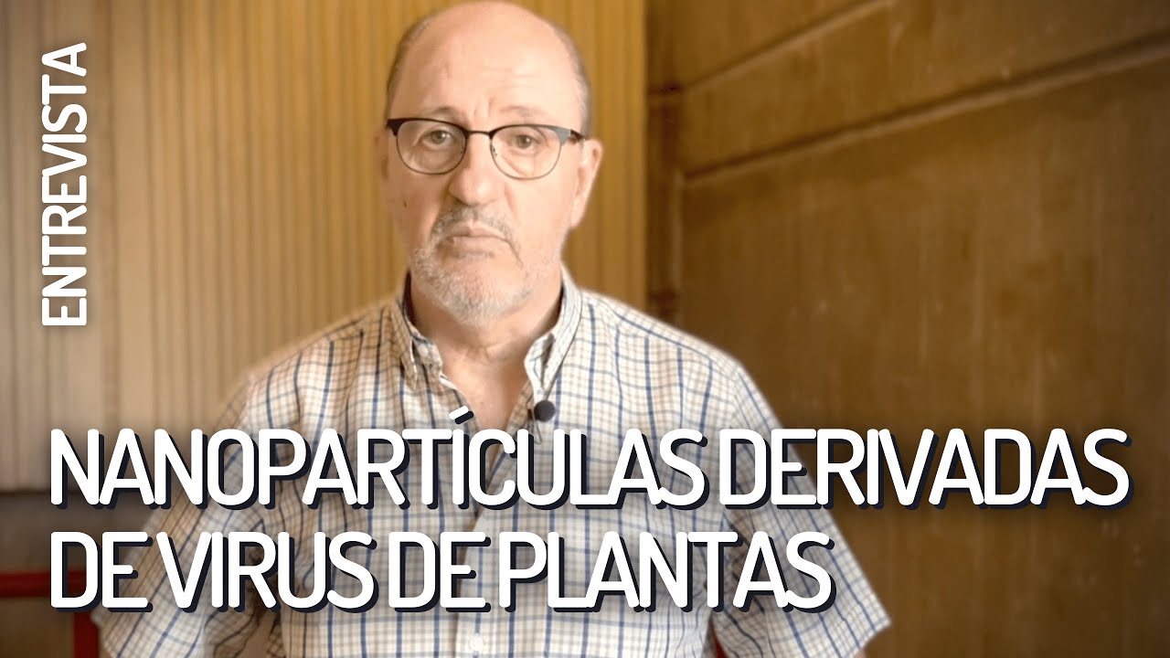 Nanopartículas derivadas de virus de plantas