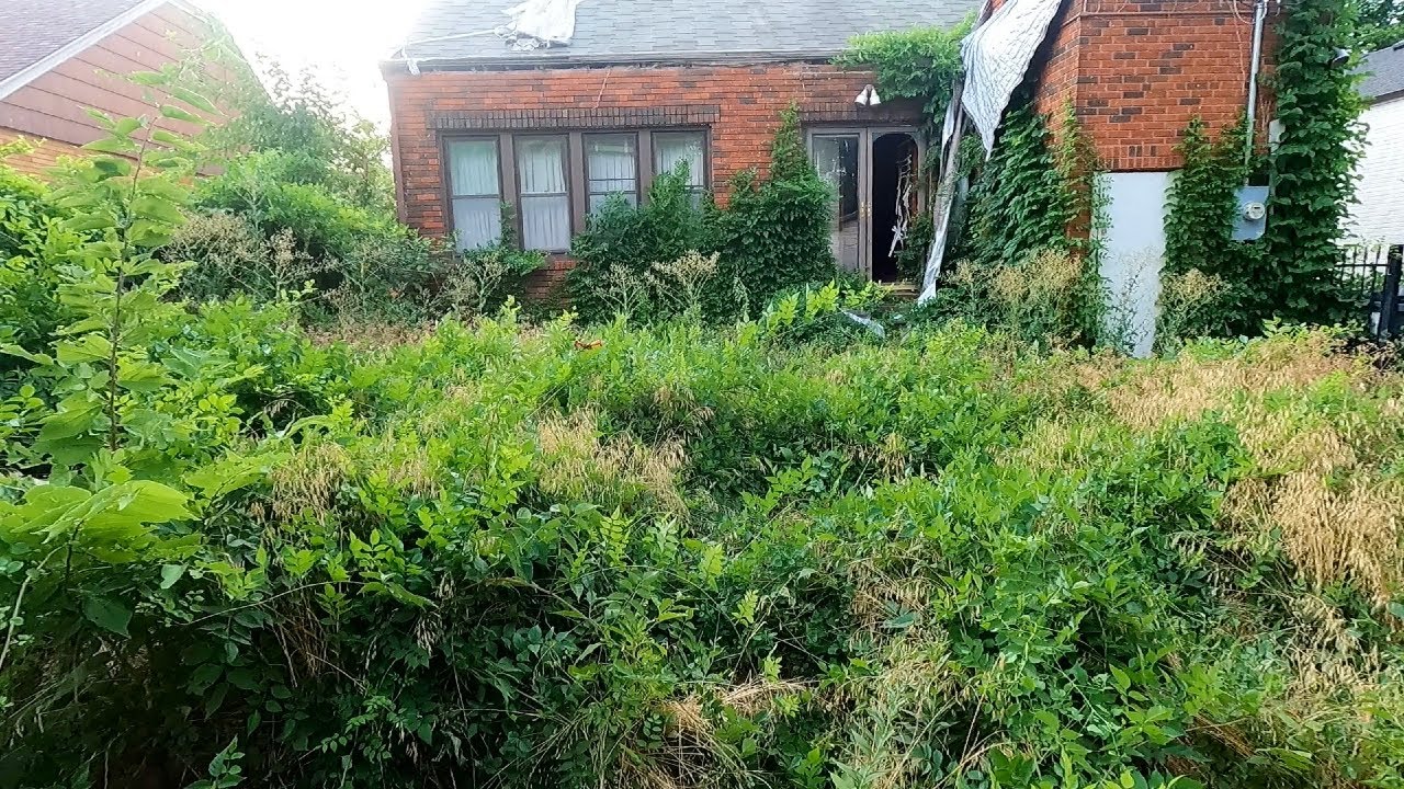 SHOCKING Transformation On This CRAZY OVERGROWN Lawn
