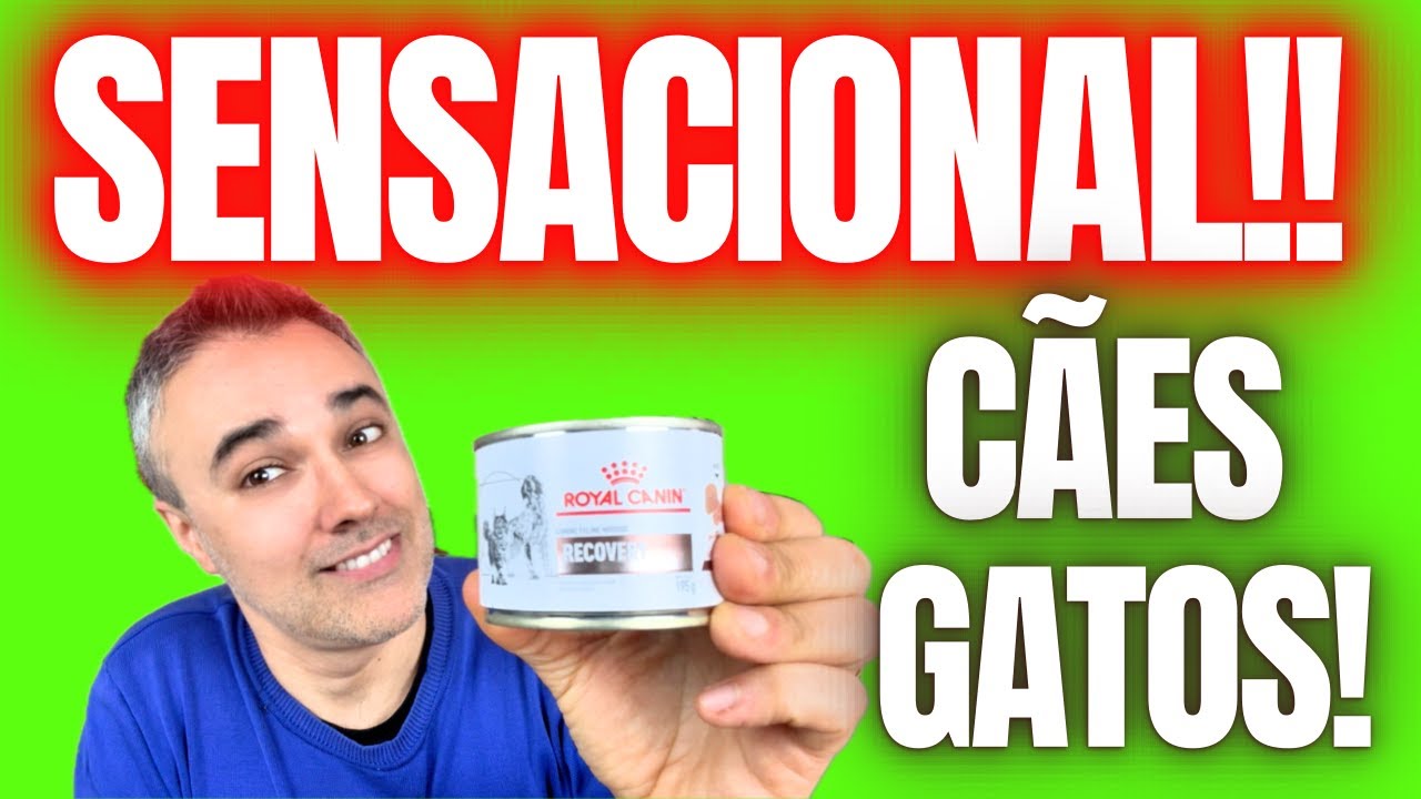 Royal Canin RECOVERY 💪SENSACIONAL! ✅Ajuda salvar vidas! | CÃES GATOS