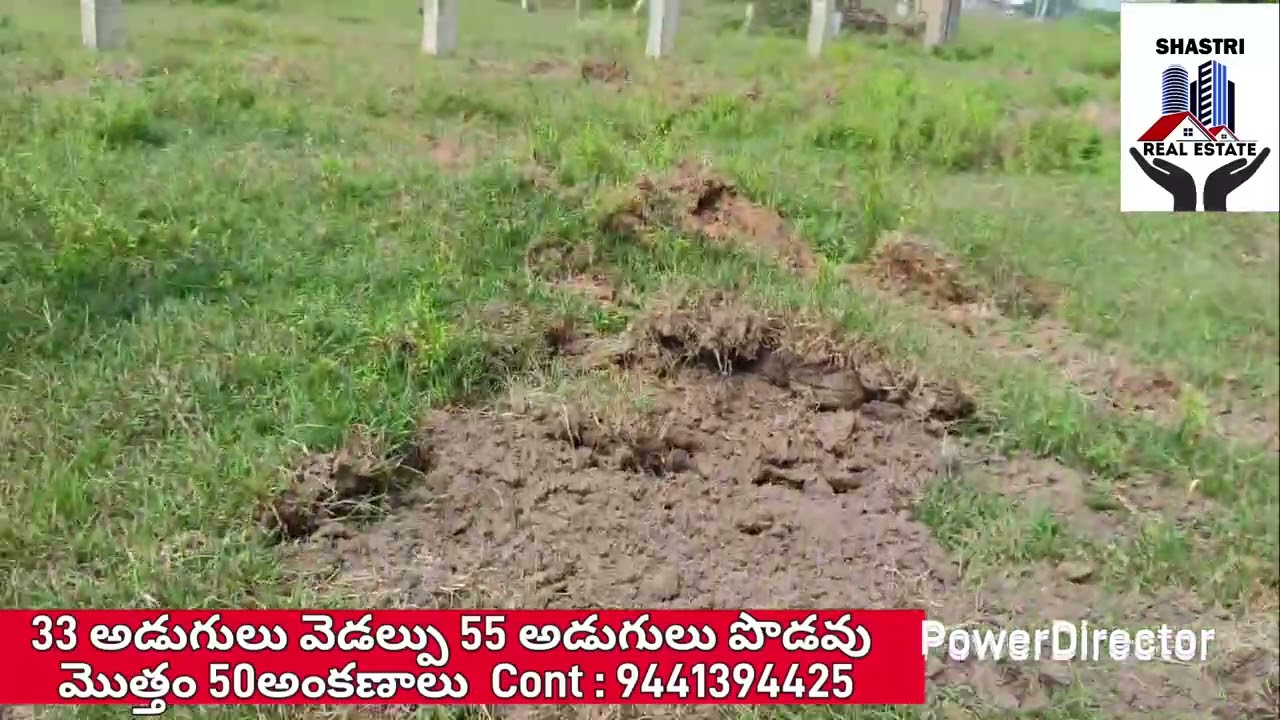 SHASTRI REAL ESTATE : PLOT FOR SALE IN TIRUPATI