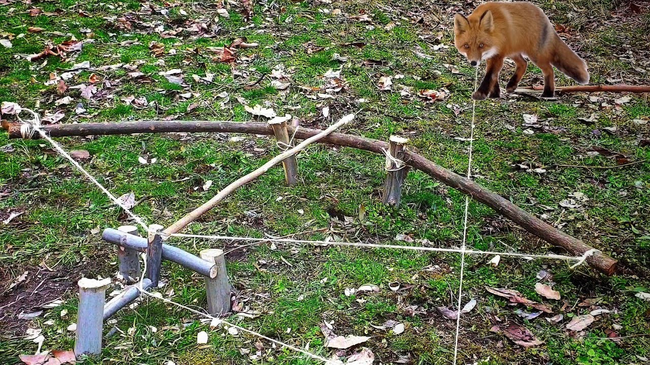 CAMP SAFETY / BUSHCRAFT SURVİVAL / Kamp güvenliği
