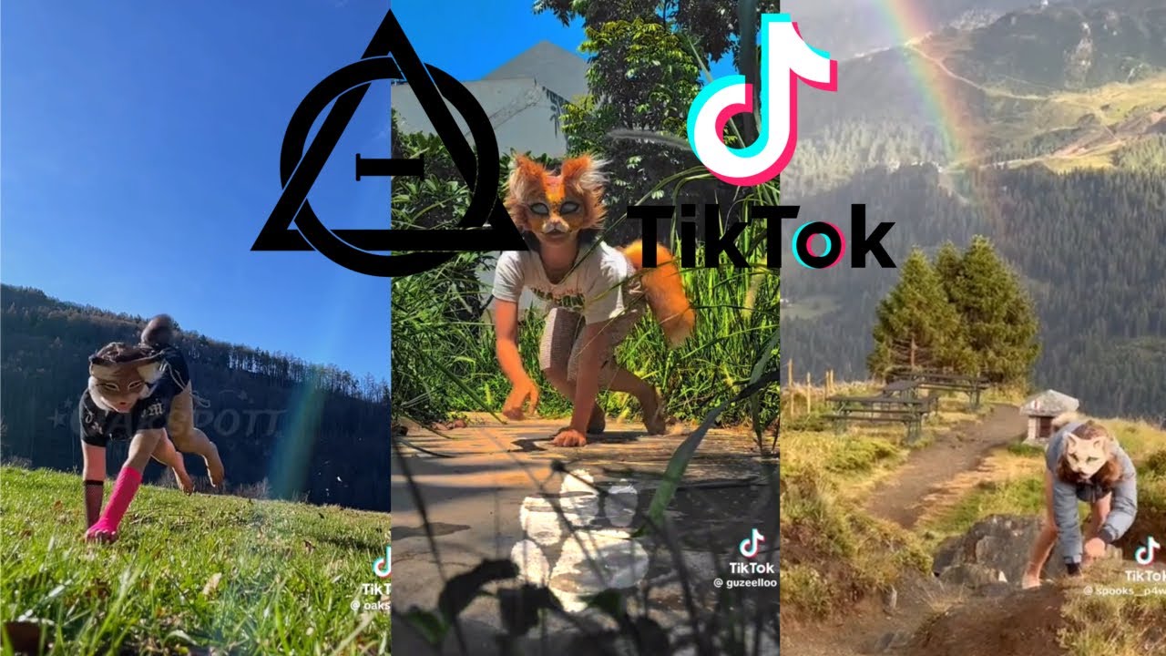 Therian and Quadrobics TikToks || Compilation 🐾🪱🪲|| Alterhumans of TikTok #90