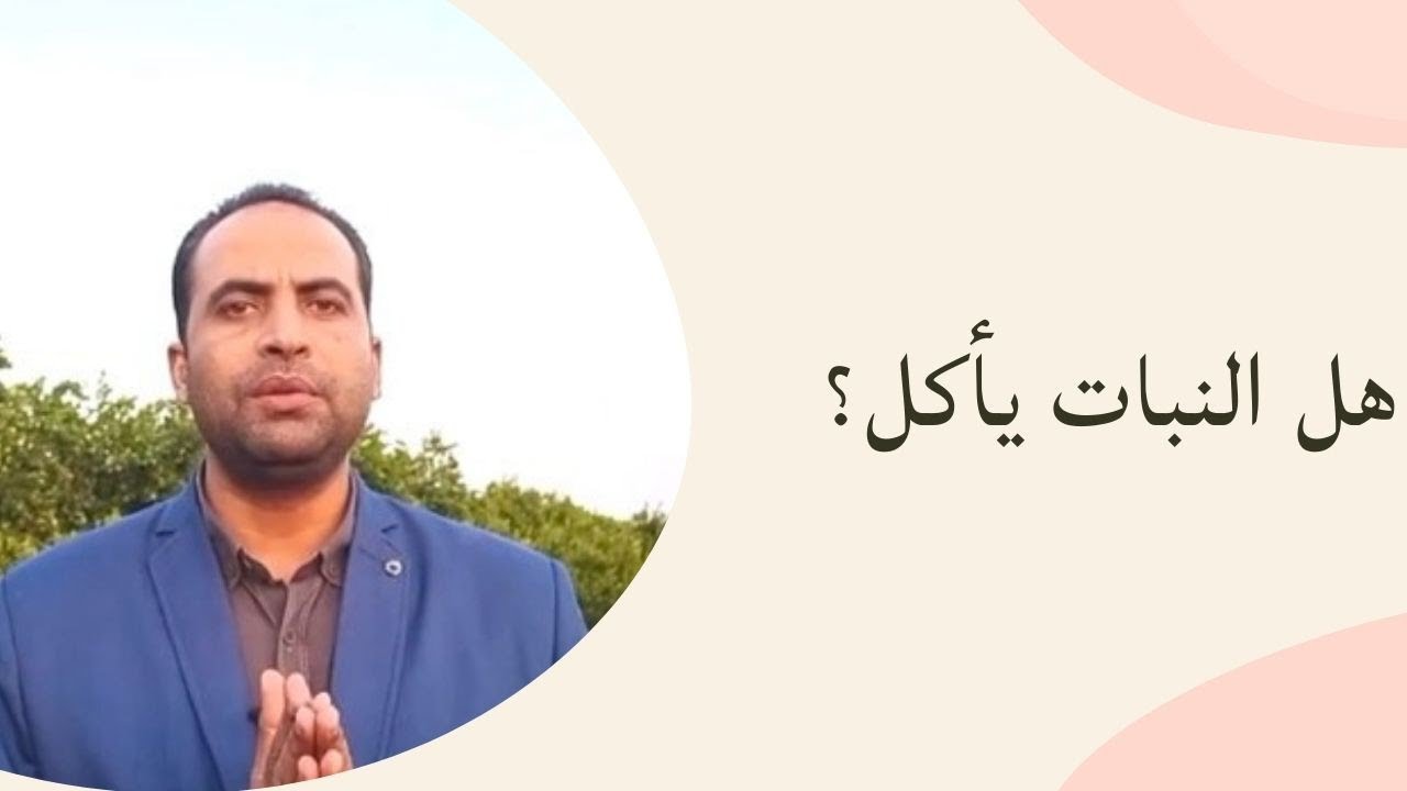 العناصر الغذائية الضرورية للنبات | كيف تحصل علي إنتاج مثالي | زتونة زراعية | محمد هنداوي