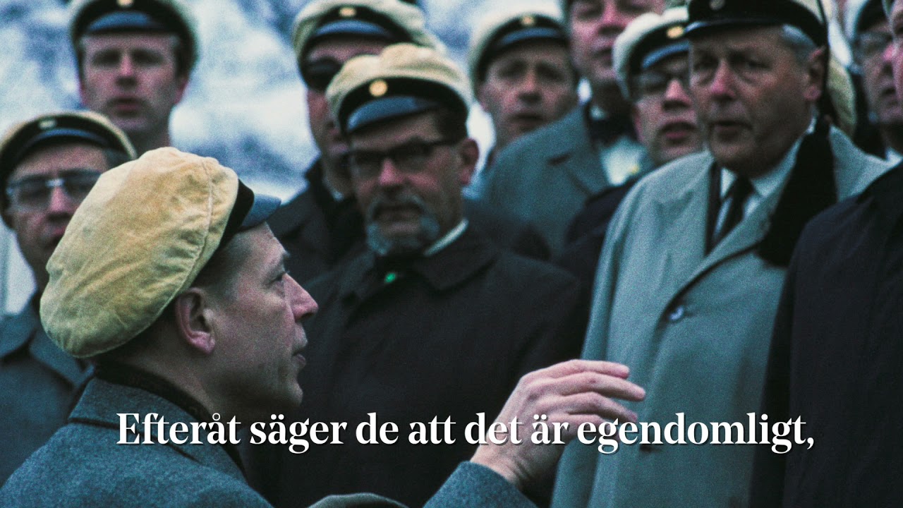 Erik Bergman i 20 planscher