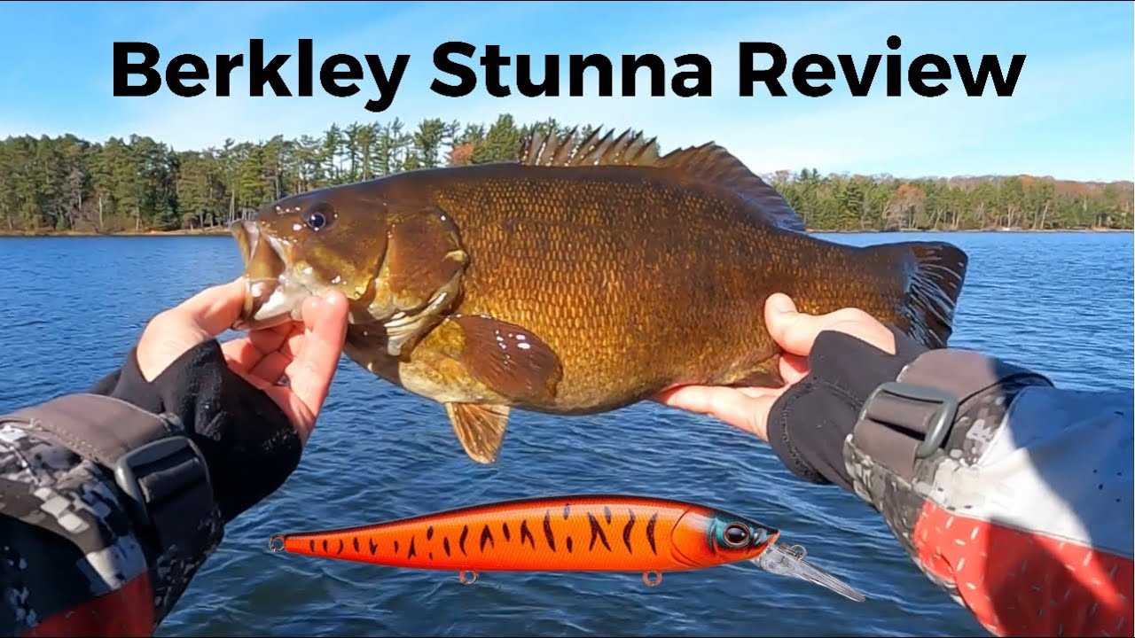 Berkley Stunna Jerkbait Review