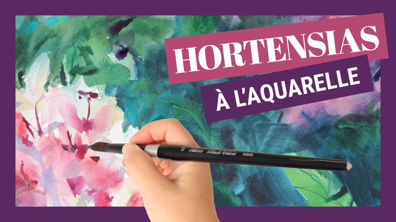 Peindre des hortensias à l'aquarelle - MOYEN
