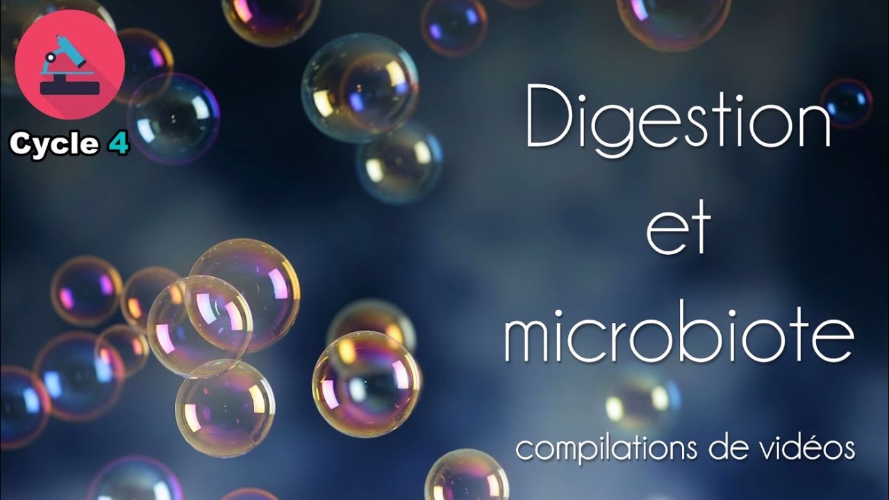 Digestion et microbiote : compilations de vidéos de SVT / Cycle 4