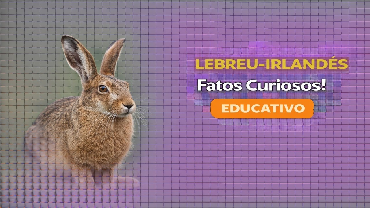 LEBREU-IRLANDÊS: CURIOSIDADES SURPREENDENTES SOBRE ELE...