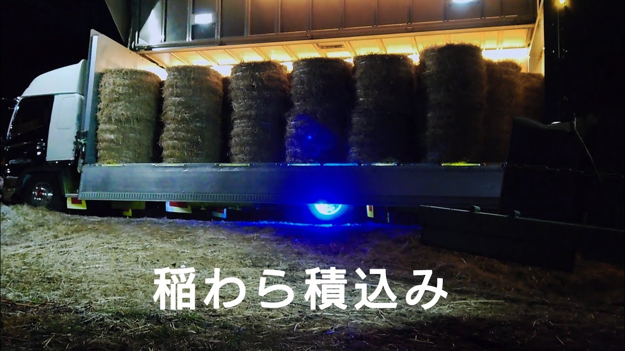 稲わら積込みの様子