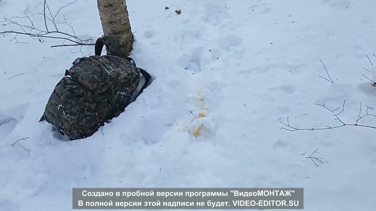 ПО СЛЕДАМ ТИГРА.Часть первая.