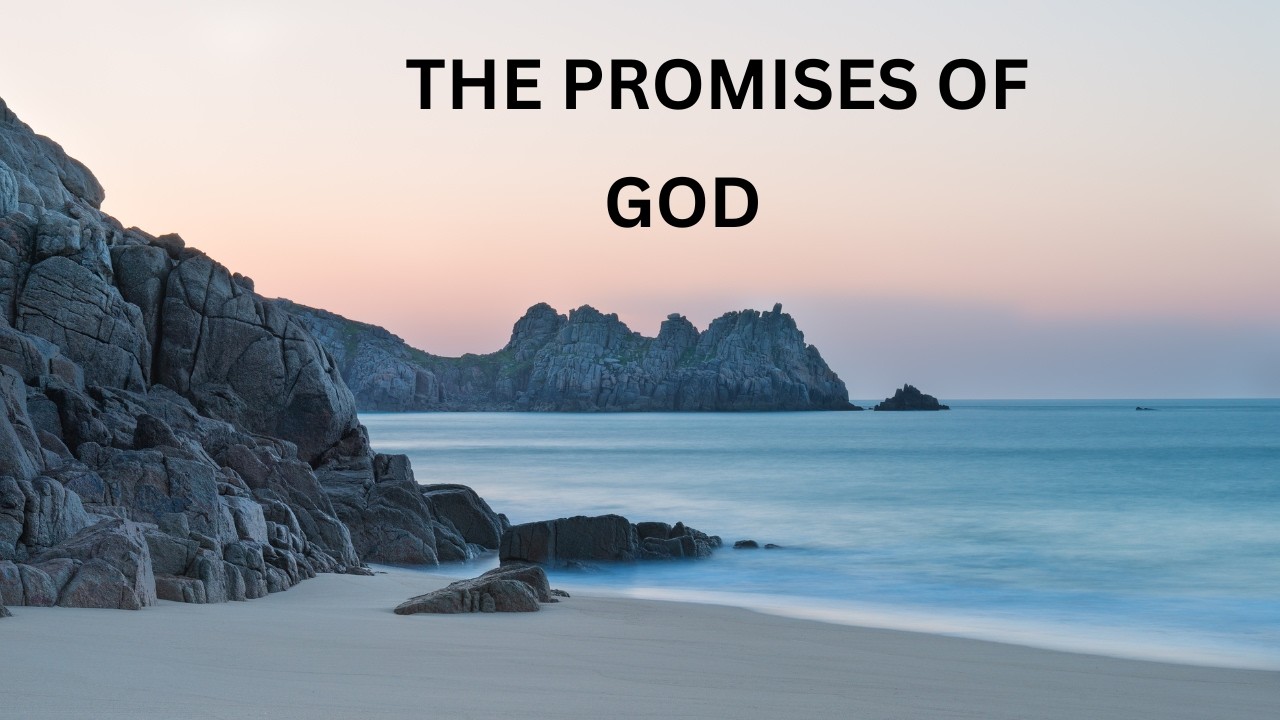 Powerful Bible Promises to Encourage Your Heart.