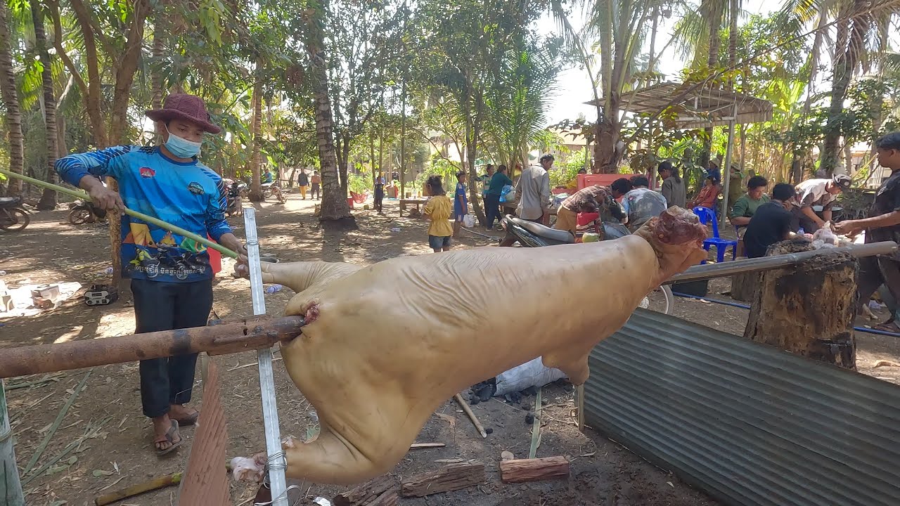 វគ្គ៤ 25/Jan/2026 ថ្ងៃចូលរោងមង្គលការ ចៅចិត្រ ធ្វើម្ហូបជុំញាតិមិត្តប្រុសស្រី 