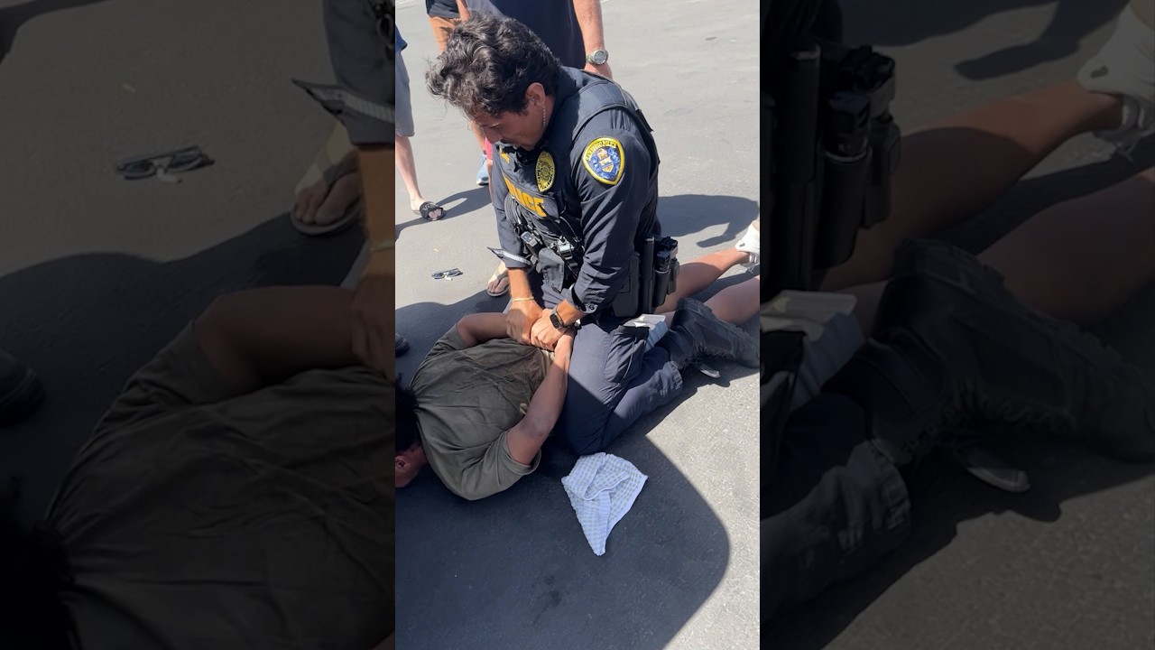 Bystanders tackle suspected car thief after police chase