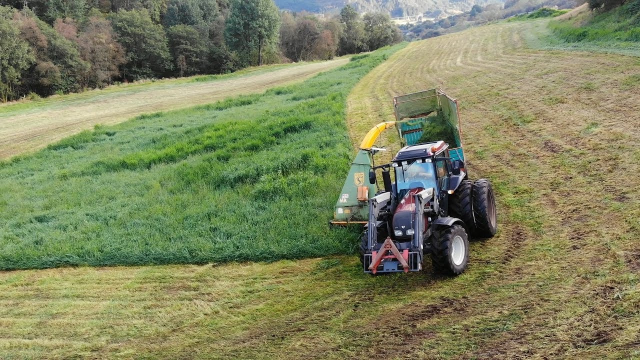 2nd Cut | Moving grass | Valtra