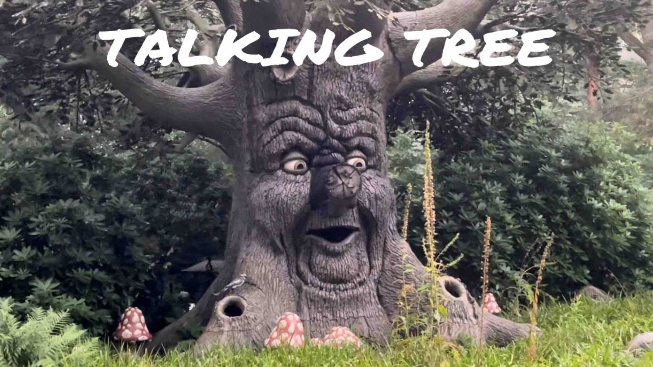 Talking Tree In The Wonderful World Of The Efteling
