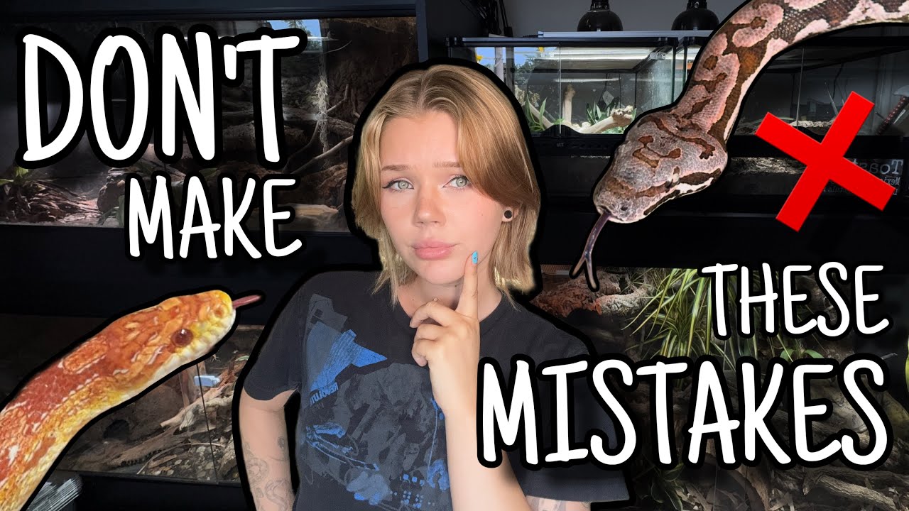 10 MISTAKES Snake Owners Make...