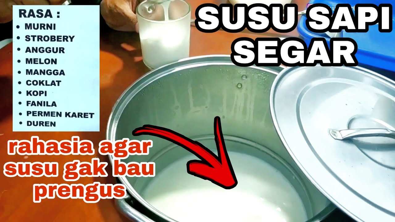 IDE BISNIS SUSU SAPI MURNI SEGAR | RAHASIA AGAR SUSU TIDAK PRENGUS | EDISI WISATA KULINER