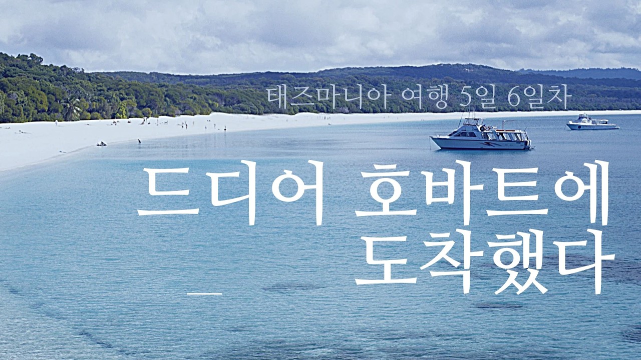 태즈마니아 여행 5-6일차 | 포트아서 라벤더 카페, 호바트 일몰, 살라망카 마켓, 리치몬드 스칼럽 파이, 마운트 웰링