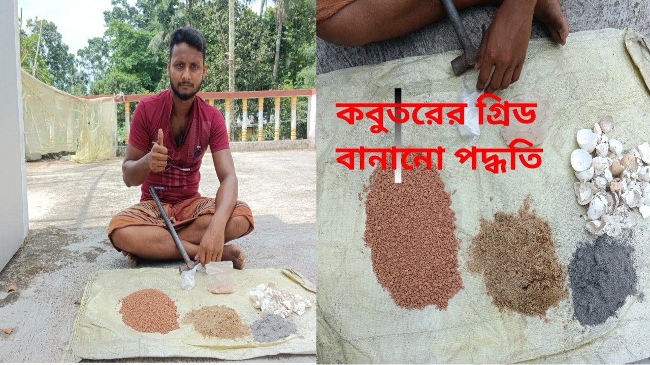 কবুতরের গ্রিড বানানোর ভিডিও Indian pigeon tips #pigeonlaver #kabootar