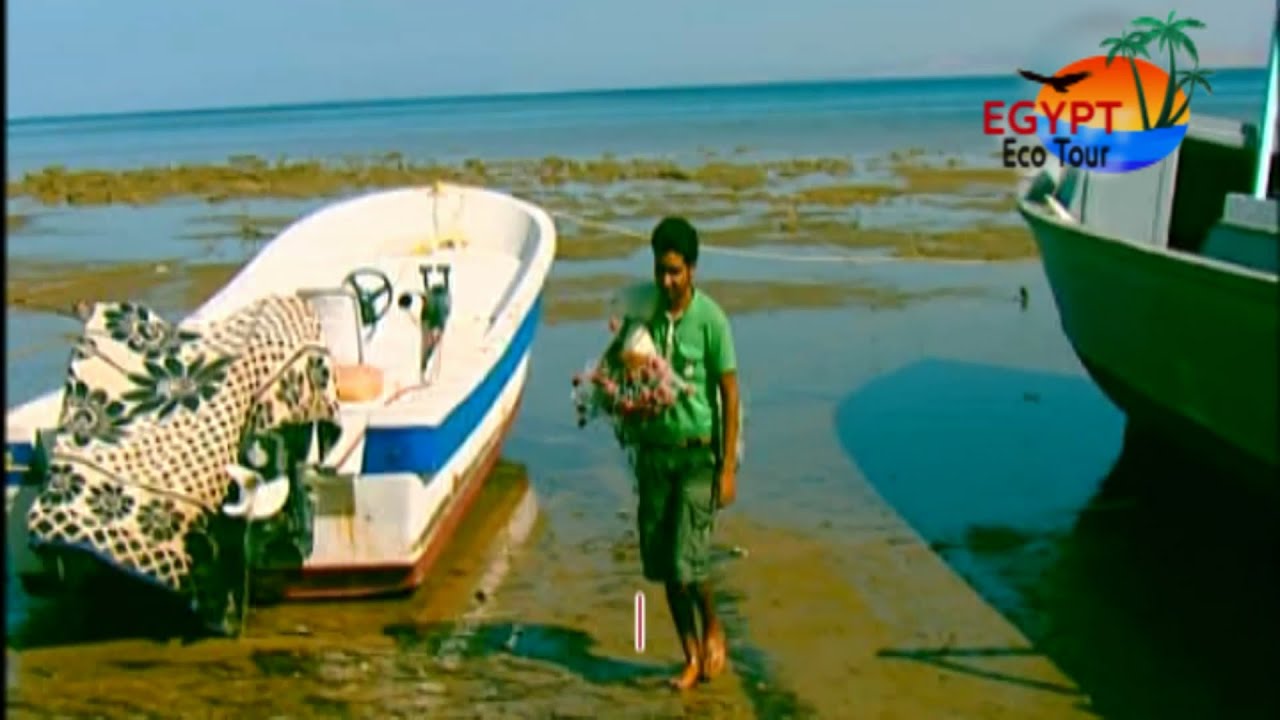 الصيد فى محمية نبق الطبيعية   Fishing in Nabq - Sharm El Sheikh - South Sinai