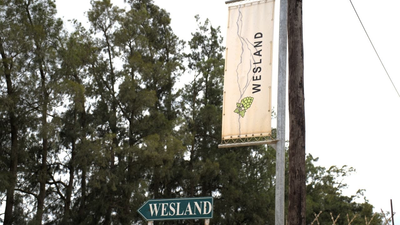 Wesland Farm Showcase alongside Electro Africa