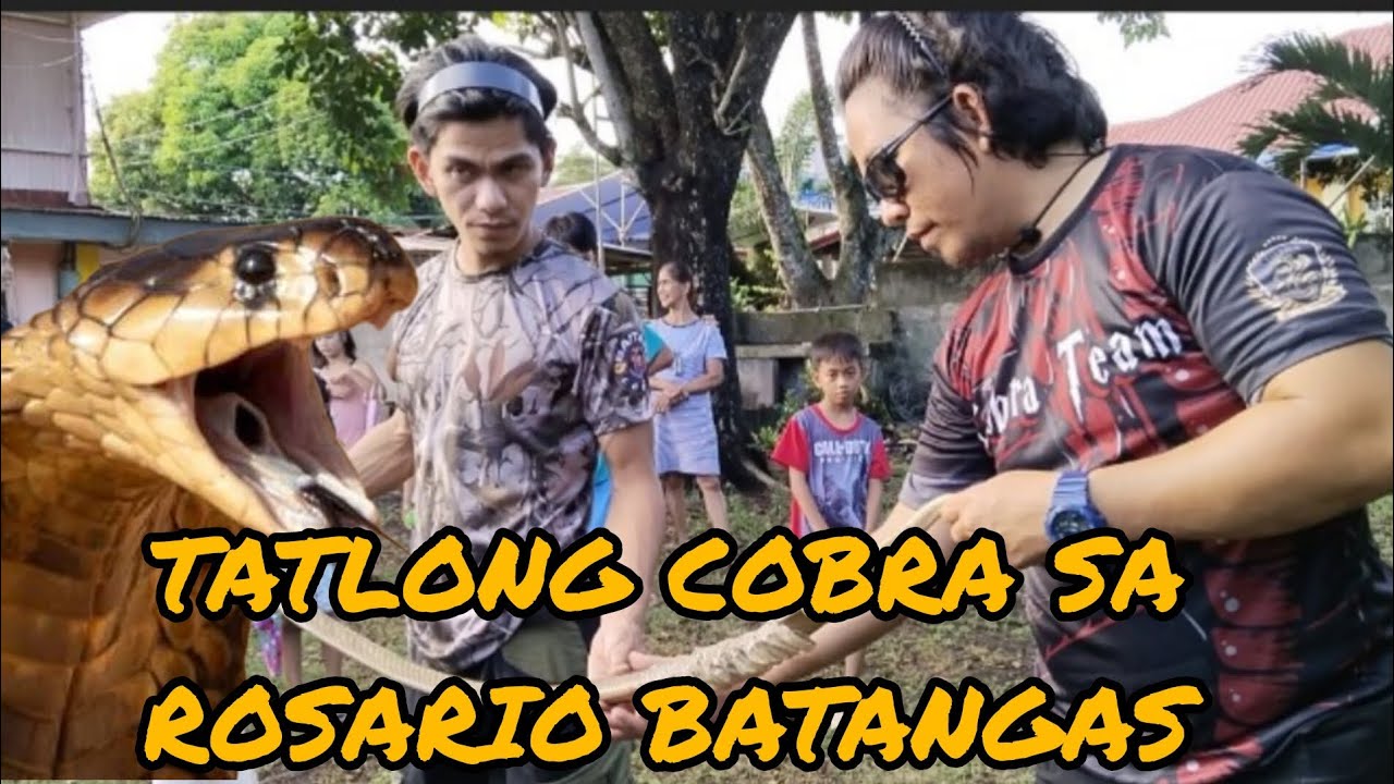 LUNGGA NG MGA COBRA SA BATANGAS , NATUKOY NG TEAM #cobraprince #cobraking