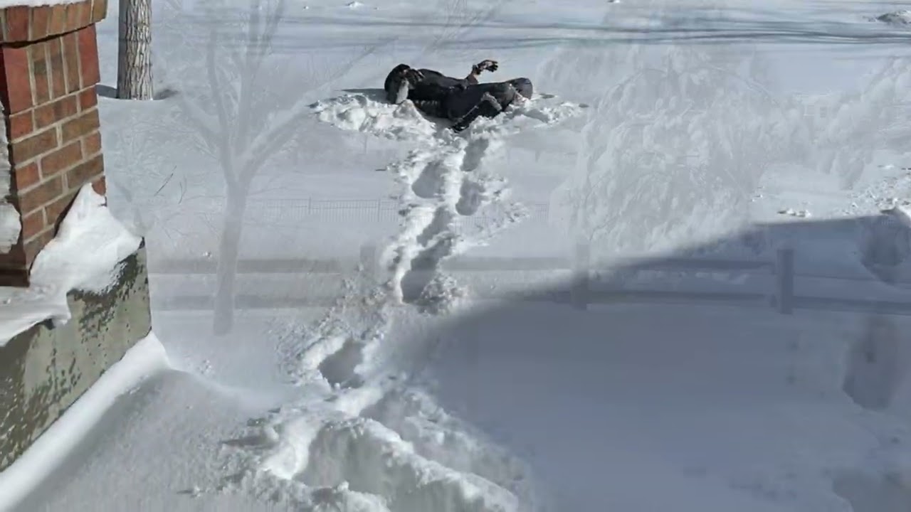 Winter Wonderland 