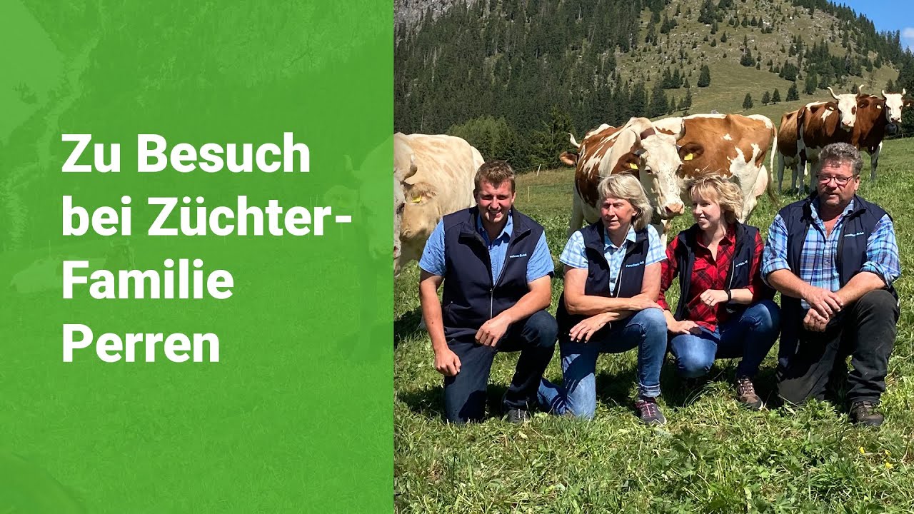 Auf der Alp bei der Familie Urs und Andrea Perren in St. Stephan