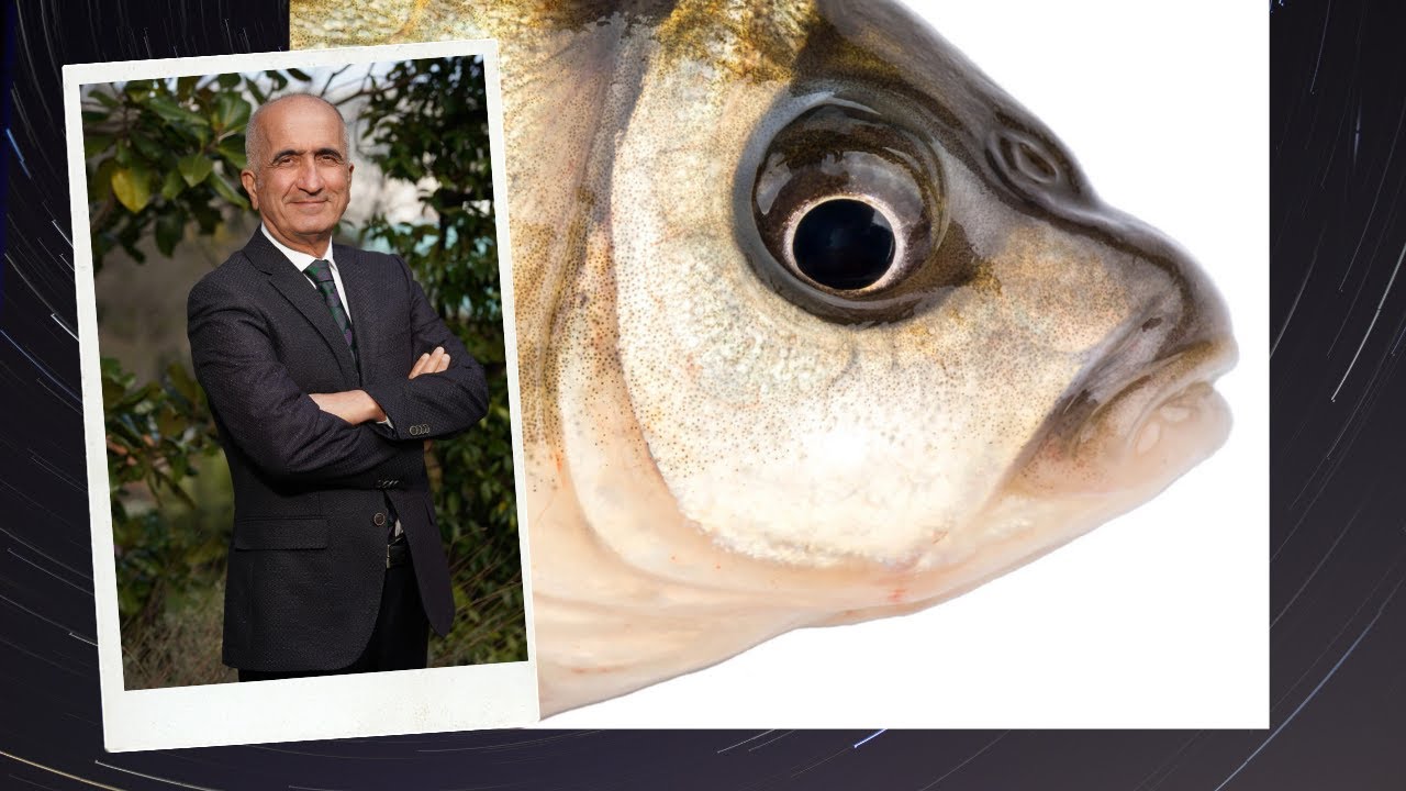 BALIK YEMENİN FAYDALARI !