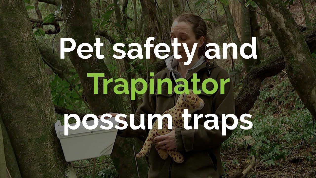 How to keep your pets safe around Trapinators — Otago Peninsula Biodiversity Group
