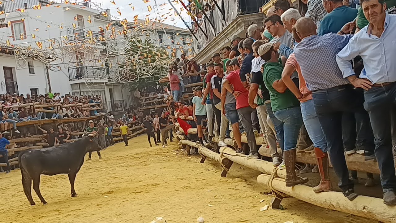 Encierro con mucho contenido Castril Granada 2024