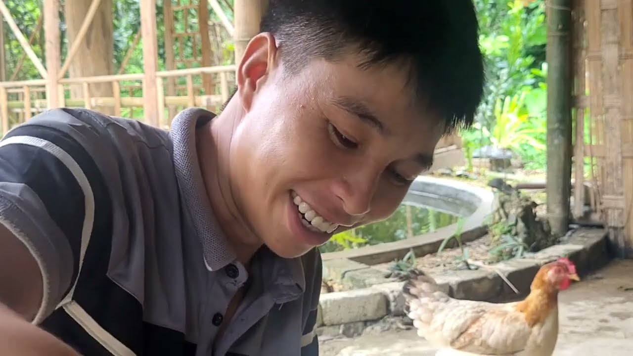Video compilation of the process of catching fish and harvesting fruit for sale - Farm life