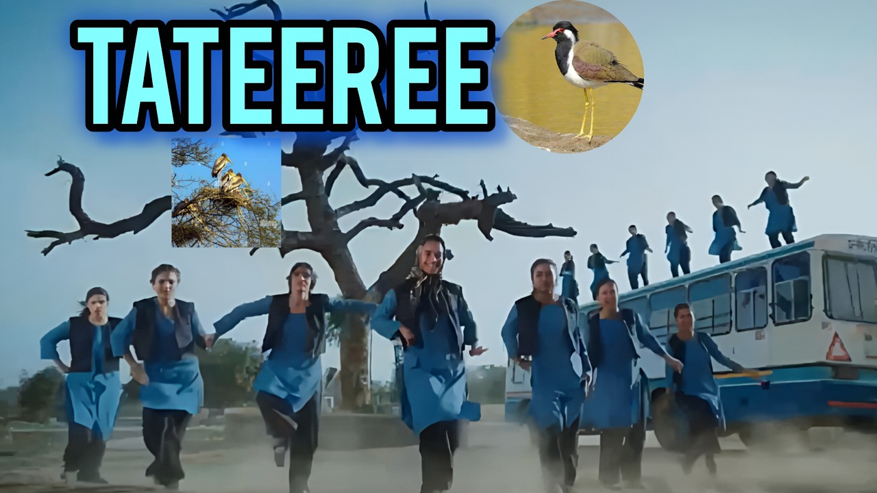 Ghuti Kyun Ghuti Kyun Kare Tateeree  (Video) Badshah | Mhare Ri Mandere Pe Boliye Tateeree