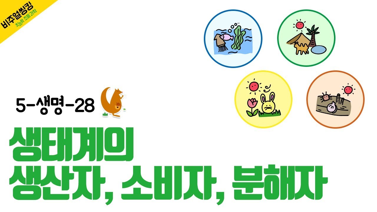 [초능력 비주얼씽킹 과학] 5-생명-28. 생태계의 생산자, 소비자, 분해자