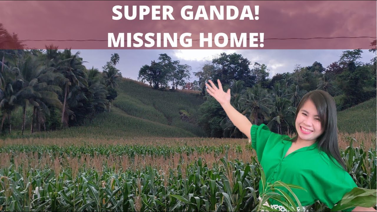 VIRTUAL TOUR: Maayon Capiz, Philippines