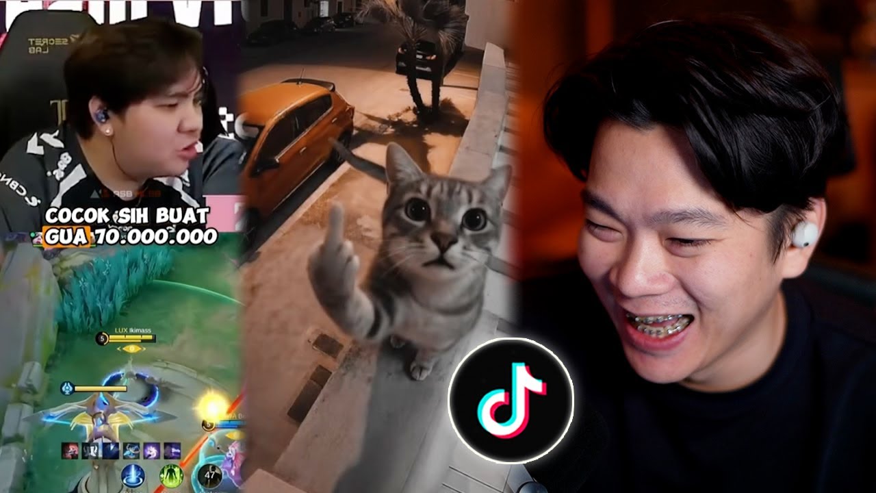 Kucing Tergesrek Sedunia & Luke Beli Kursi Gaming&nbsp;70&nbsp;Jt?!&nbsp;- EMPACTION #218