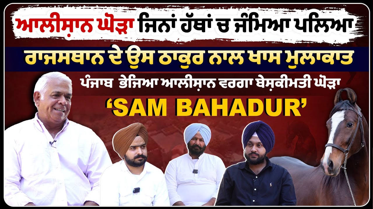 ALISHAN ਘੋੜਾ ਜਿਨਾਂ ਹੱਥਾਂ ਚ ਜੰਮਿਆ ਪਲਿਆ | Rajasthan ਦੇ ਉਸ ਠਾਕੁਰ ਨਾਲ ਖਾਸ ਮੁਲਾਕਾਤ