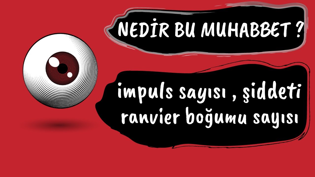 NEDİR BU İMPULS SAYISI , İMPULS ŞİDDETİ , RANVİER BOĞUM SAYISI ?