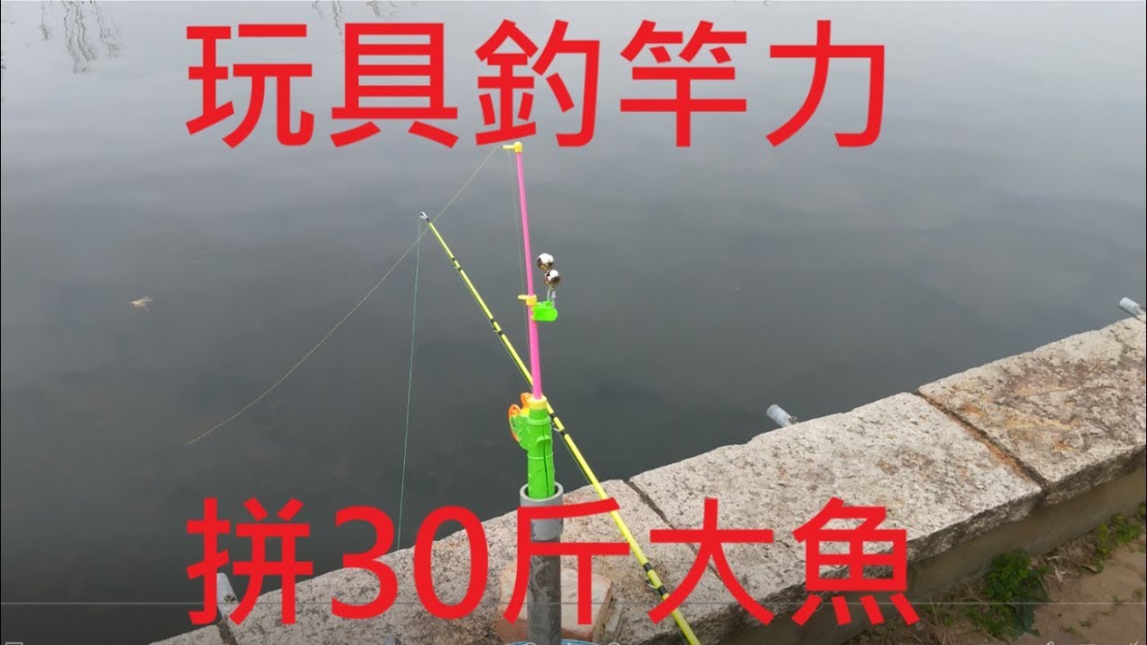 【灰狼】玩具釣竿力拼30斤大魚  釣魚人的童年/BlackCarp fishing with toy rod