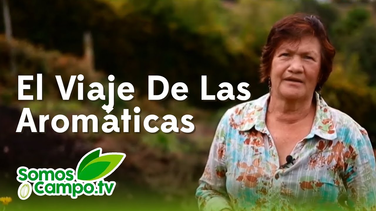 El Viaje De Las Arom&aacute;ticas - Somos Campo.Tv